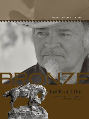 cover image of Bronze Inside and Out